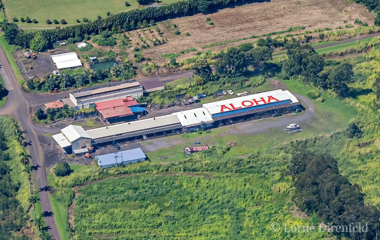 This "Aloha" on the Hamakua coast of the Big Island can only be seen from the sky . . .