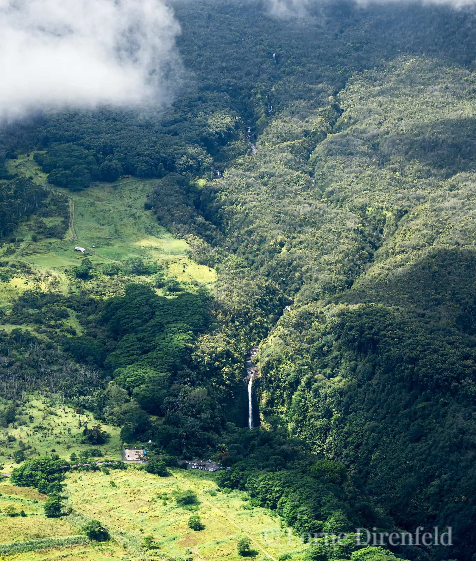 There are numerous waterfalls on the east side of the Big Island, where it is lush and often rainy; Akaka Falls is more than 400 feet tall . . .