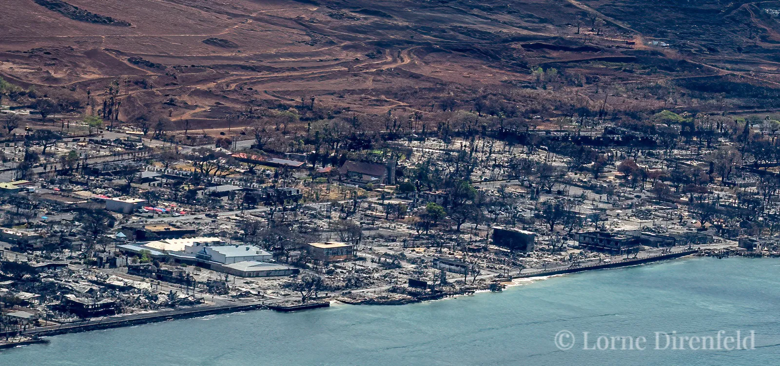 On 8/8/23 wild fire tore through several parts of Maui, including Lahaina. It was devastating . . .